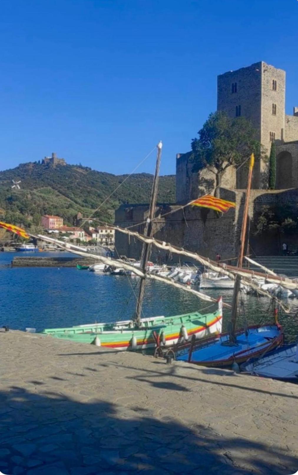Les Baigneuses A Collioure Apartment Exterior photo